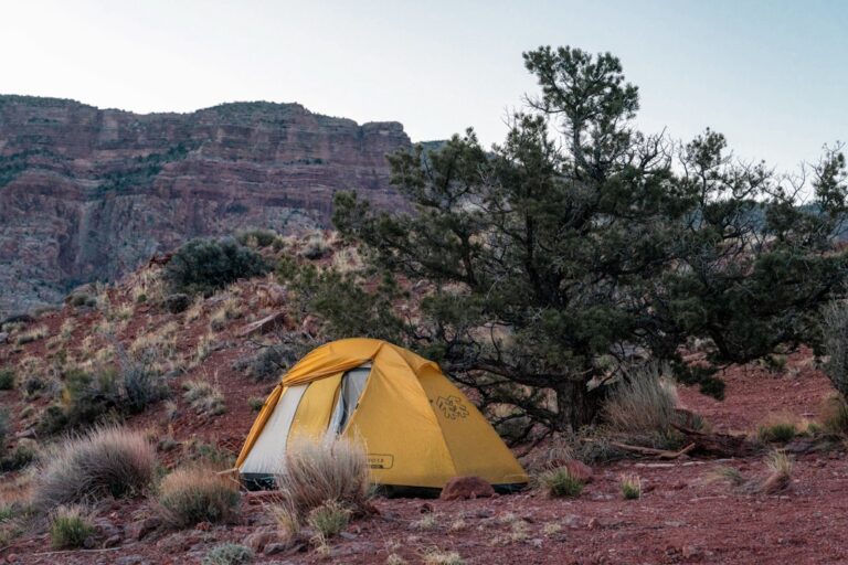 How to Choose the Perfect Tent for Your Camping Trip