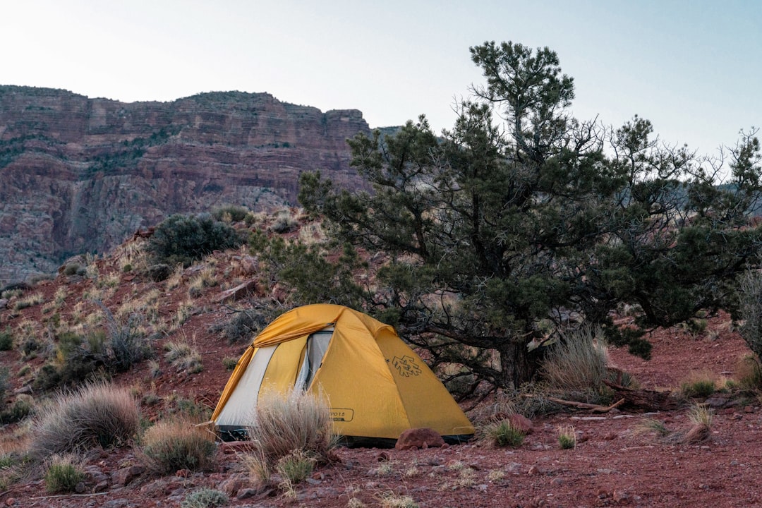 How to Choose the Perfect Tent for Your Camping Trip