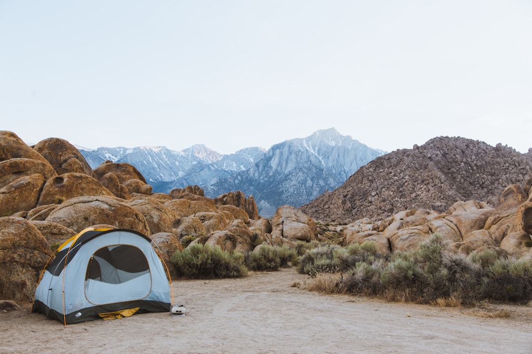 Budget-Friendly Camping Essentials That Won’t Break the Bank